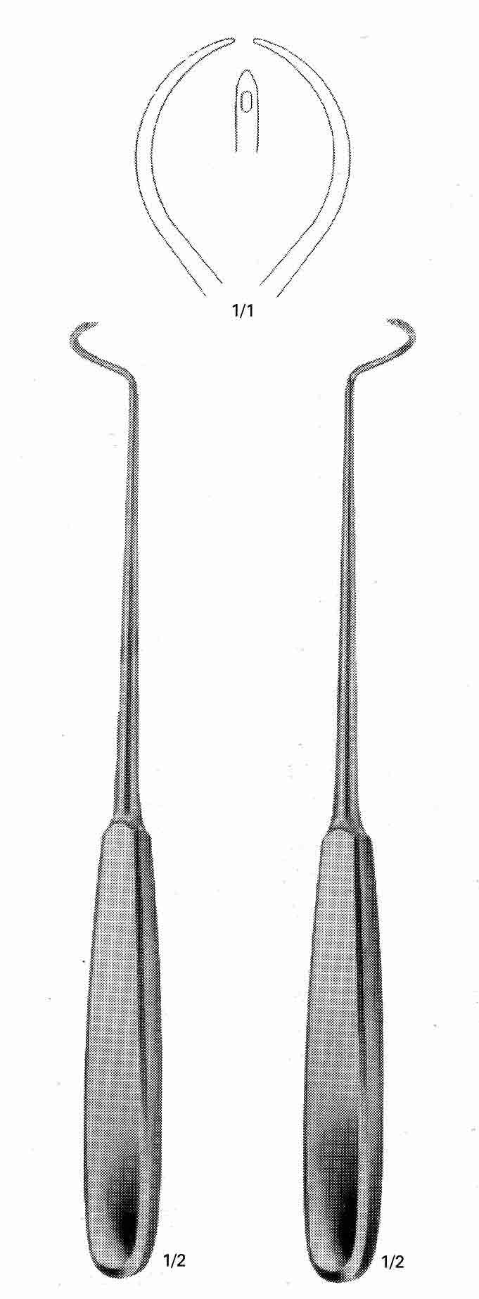 HURD DEŞAM KÜNT 22.5CM